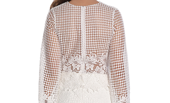 LACE AND ROSES